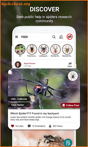 Spider Identifier App by Photo screenshot