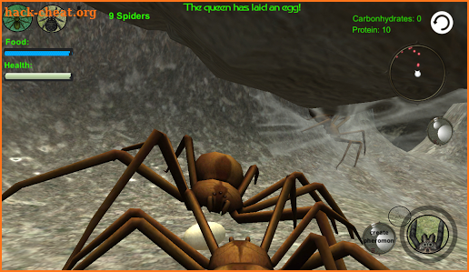 Spider Nest Simulator - insect and 3d animal game screenshot