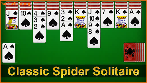 Spider Solitaire screenshot