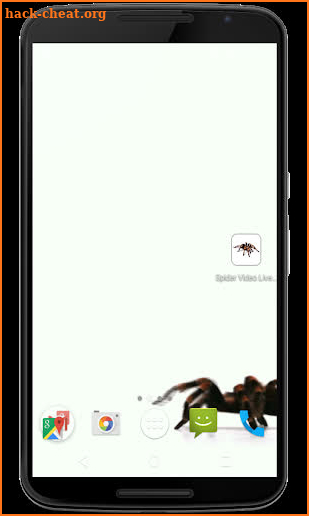Spider Video Live Wallpaper screenshot