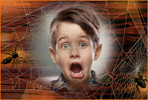 Spider Web Photo Frame Effects screenshot