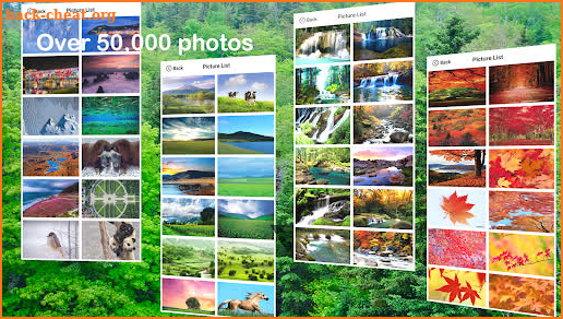 Spire Wallpaper Gallery - 50000 unique pictures screenshot