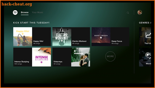 Spotify Music - for Android TV screenshot