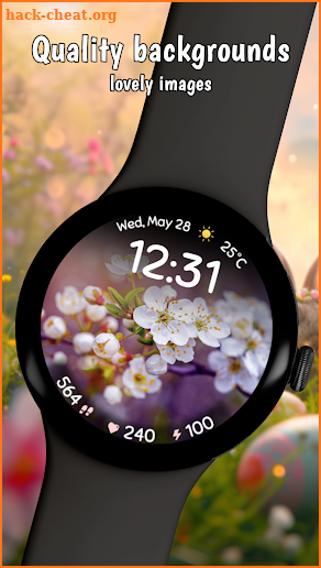 Spring Flowers screenshot