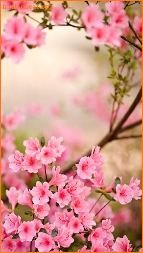 Spring Flowers Live Wallpaper screenshot