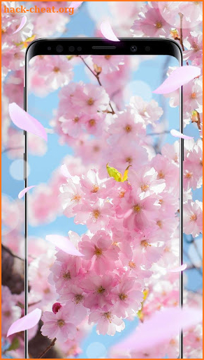 Spring Flowers Live Wallpaper Themes screenshot