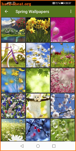 Spring Wallpapers screenshot