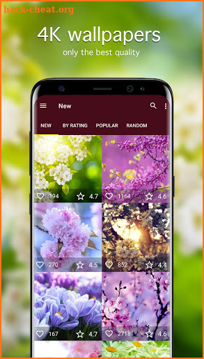 Spring Wallpapers 4K screenshot