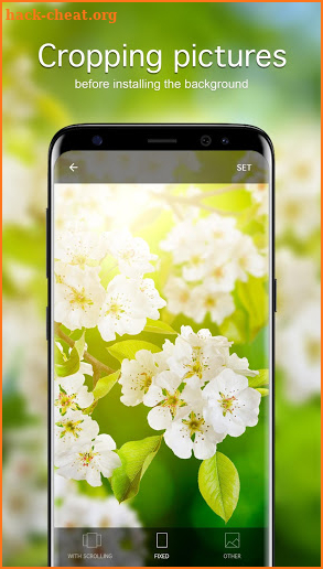Spring Wallpapers 4K screenshot