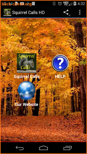 Squirrel Calls 2 screenshot