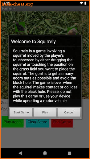 Squirrelly (No Ads) screenshot
