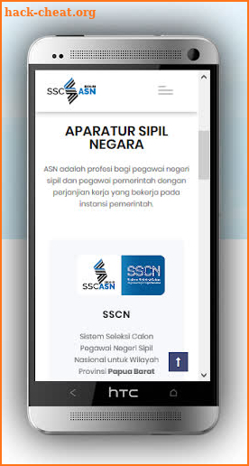 SSCN.BKN.GO.ID Login dan Pengumuman screenshot