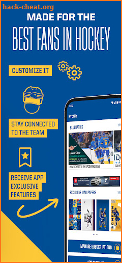 St. Louis Blues screenshot