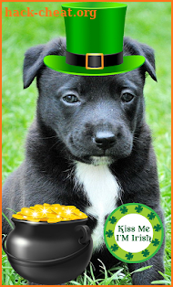 St Patricks Day Photo Stickers screenshot