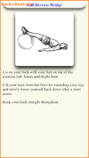 Stability Ball workout Exercise - Ball Exercise screenshot