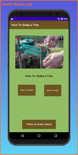 Stake a Tree screenshot
