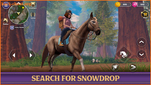 Star Equestrian - Horse Ranch screenshot