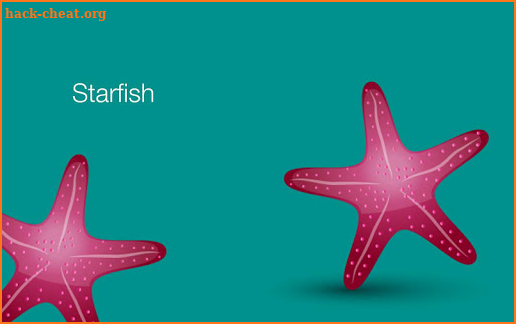 Starfish Reality screenshot