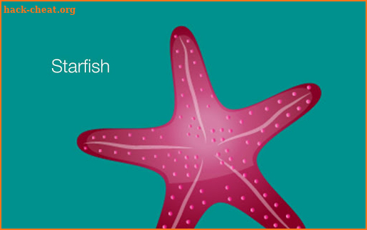 Starfish Reality screenshot