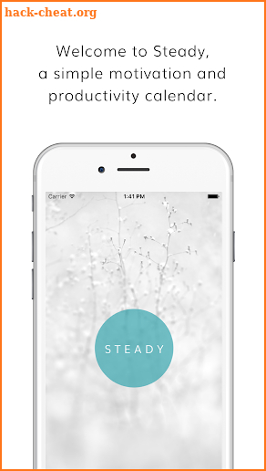 Steady Calendar: the Beautiful Habit Tracker screenshot