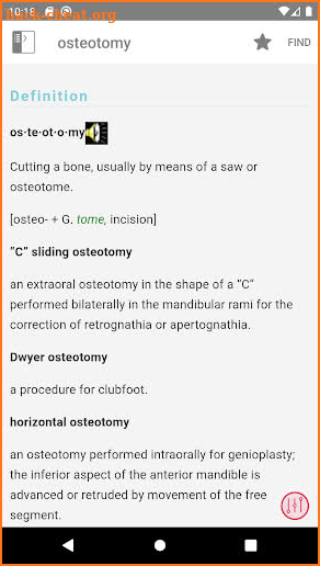Stedman's Medical Dictionary screenshot