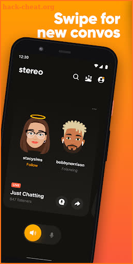 Stereo screenshot