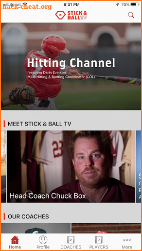 Stick & Ball TV screenshot