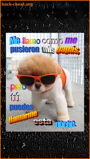 Stickers de Perros con Frases para WhatsApp screenshot