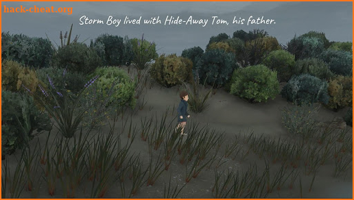 Storm Boy screenshot