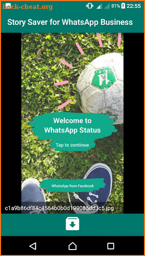 Story Saver For WhatsApp Business screenshot