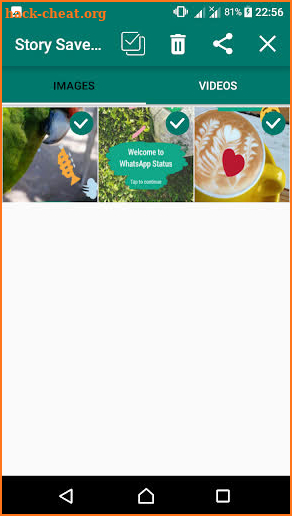 Story Saver For WhatsApp Business screenshot