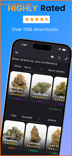Strain Guide screenshot