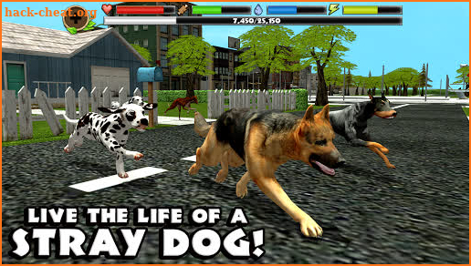Stray Dog Simulator screenshot