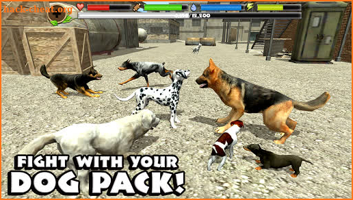 Stray Dog Simulator screenshot