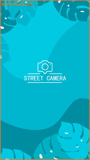 Street Camera screenshot