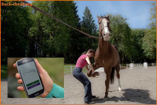 Stretch Your Horse screenshot
