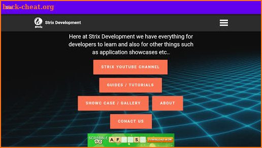 Strix Development screenshot