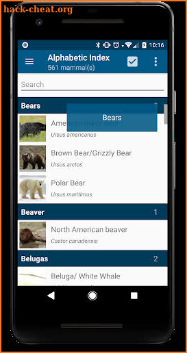 Stuarts North American Mammals screenshot
