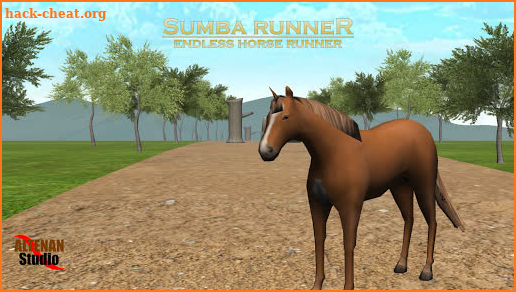 Sumba Runner : Endless Horse Runner screenshot