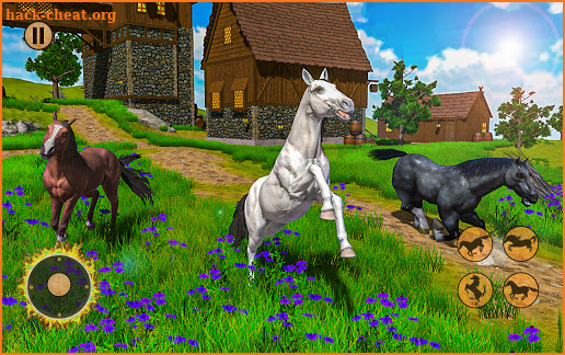Summer Horse Simulator – Horse Riding Simulator 3D screenshot