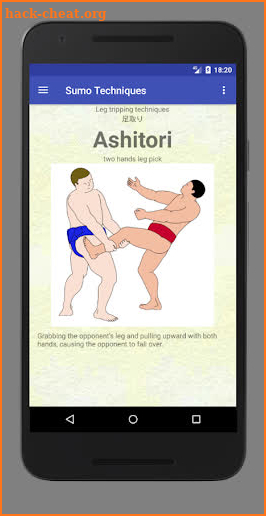 Sumo Techniques screenshot