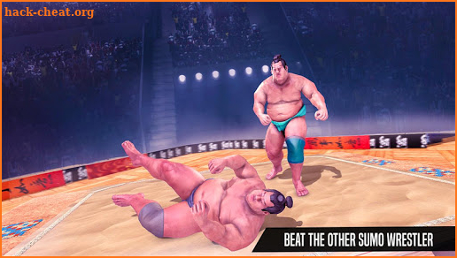 Sumo Wrestling Fight Arena screenshot