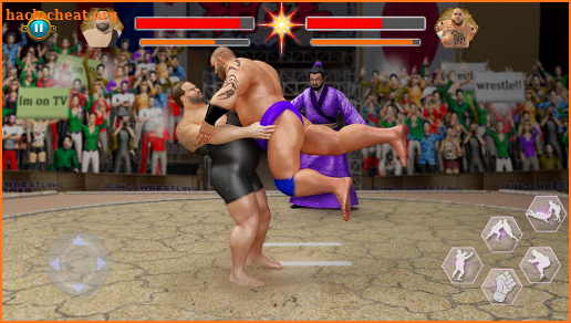Sumo Wrestling Fight: Dangerous Battle 2020 screenshot