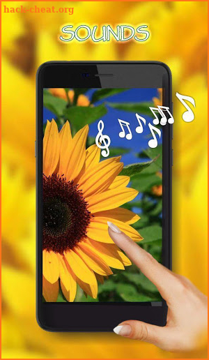 Sunflowers Summer screenshot