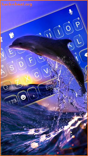 Sunset Dolphin Keyboard Background screenshot