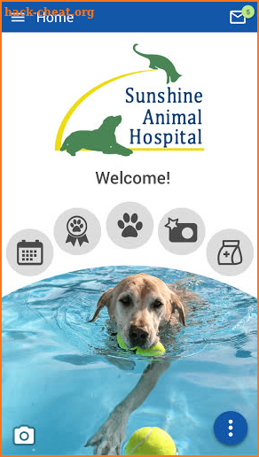 Sunshine Animal Hospital screenshot