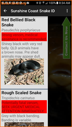 Sunshine Coast Snake ID screenshot