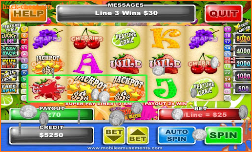 Super Fruit Slots screenshot