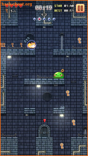 Super Hamster Ball screenshot