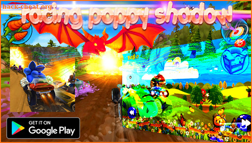 Super Hedgehog Classic Racing screenshot